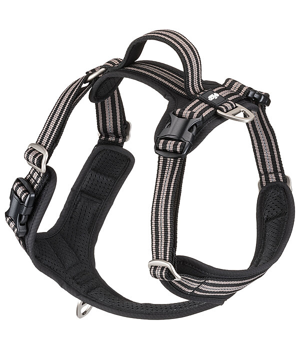 Harnais pour chien  Comfort Fit