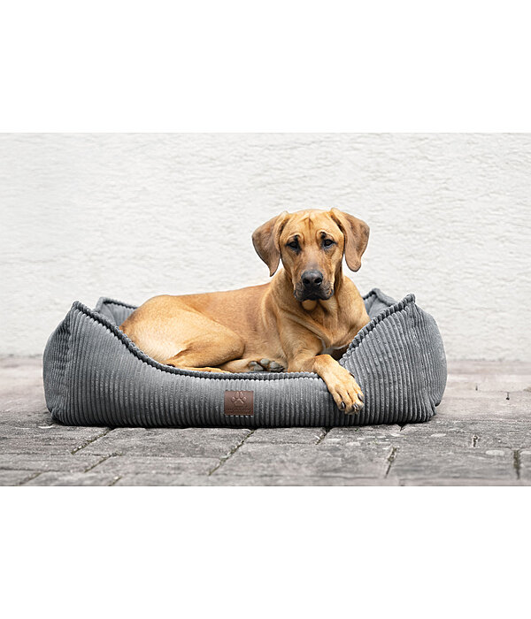 Panier pour chien  Cord