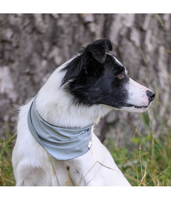 Bandana rafra�chissant  Frostie