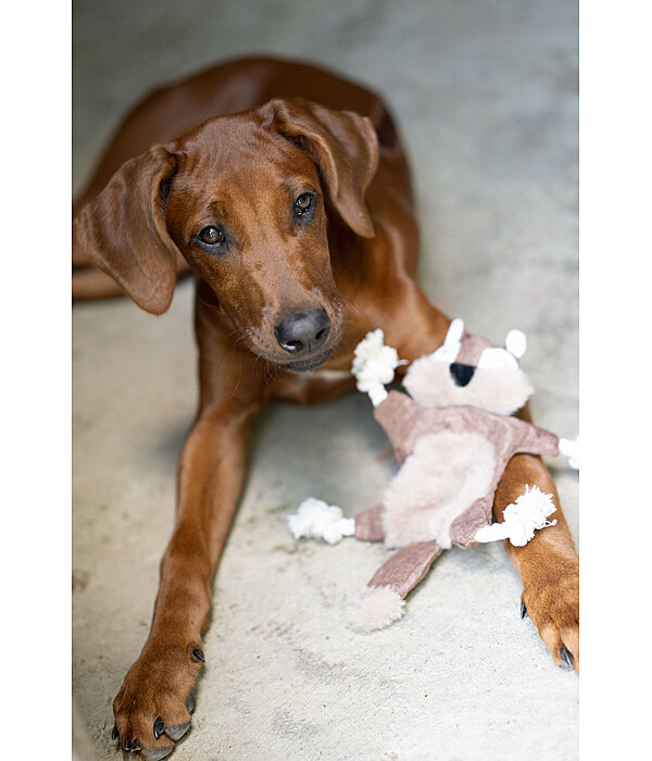 Jouet pour chien �cureuil