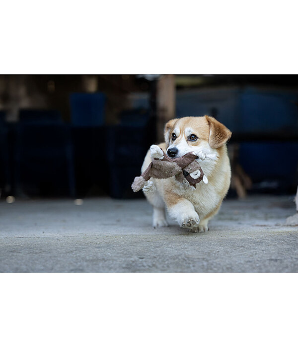 Jouet pour chien �cureuil