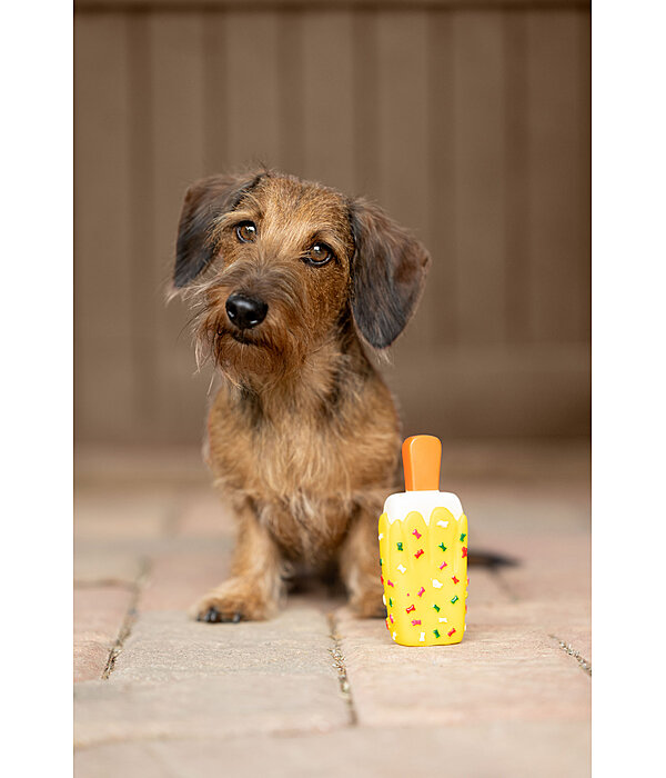 Jouet avec couineur  glace