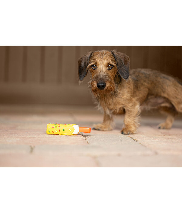 Jouet avec couineur  glace