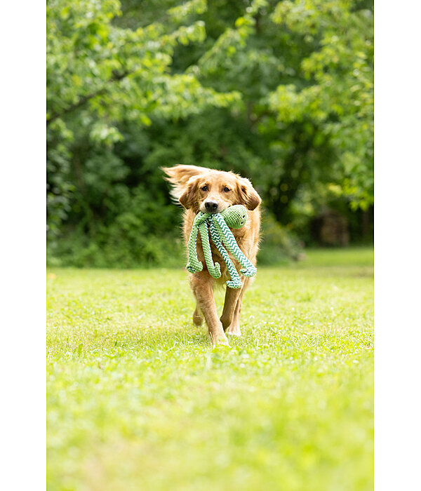 Jouet pour chien  Octopus