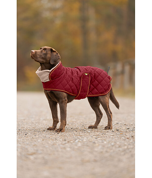 Manteau matelass� pour chien avec doublure en polaire Teddy  Holly