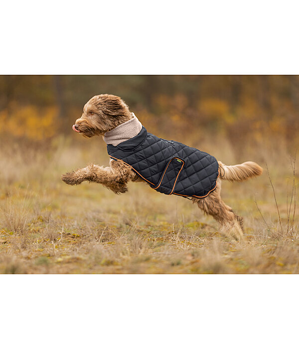 Manteau matelass� pour chien avec doublure en polaire Teddy  Holly