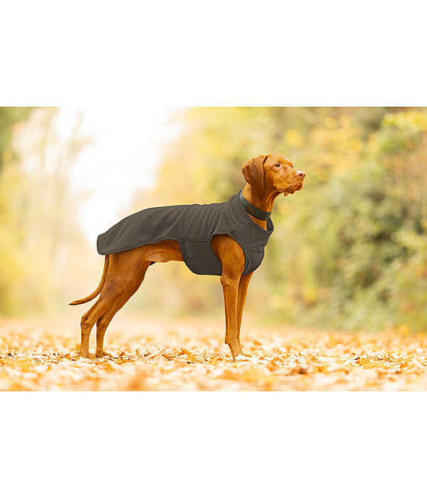 Pullover polaire pour chien  Basic
