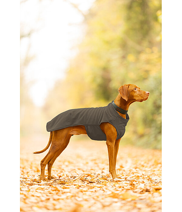 Pullover polaire pour chien  Basic