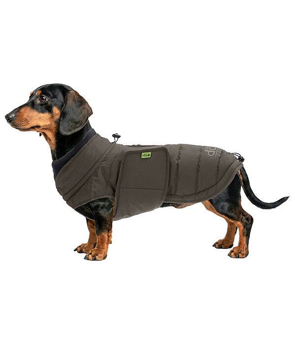 Manteau d'hiver pour teckel  Henry 200 g