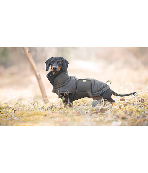 Manteau d'hiver pour teckel  Henry 200 g