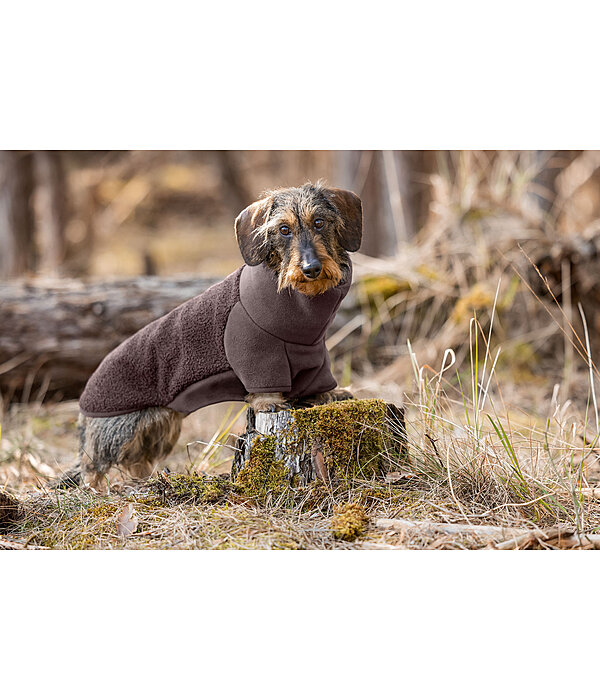 Pullover en polaire pour teckel  Edward