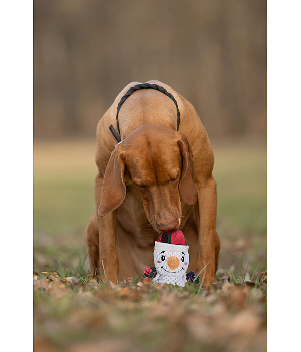 Jouet pour chien  Bonhomme de neige