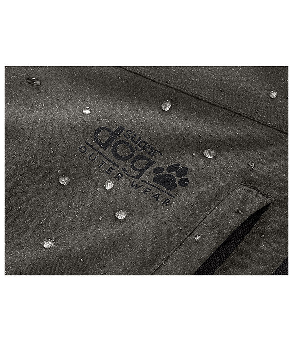 Veste d'ext�rieur toutes saisons  Grand Forrest