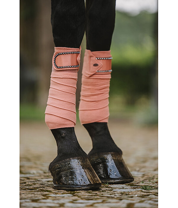 Bandes polaires  Brilliant