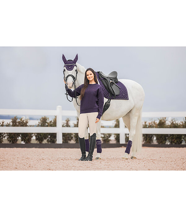 Bandes polaires  Brilliant