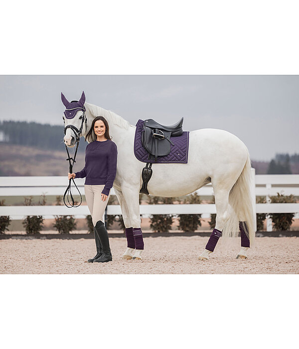 Bandes polaires  Brilliant
