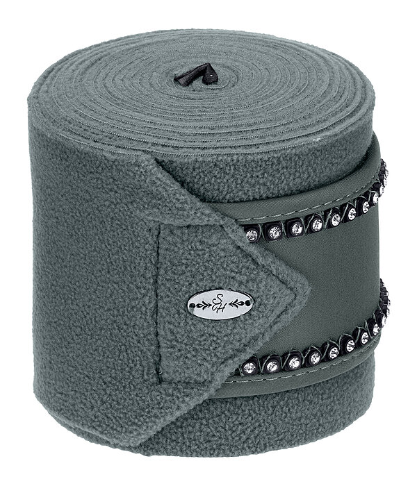 Bandes polaires  Brilliant