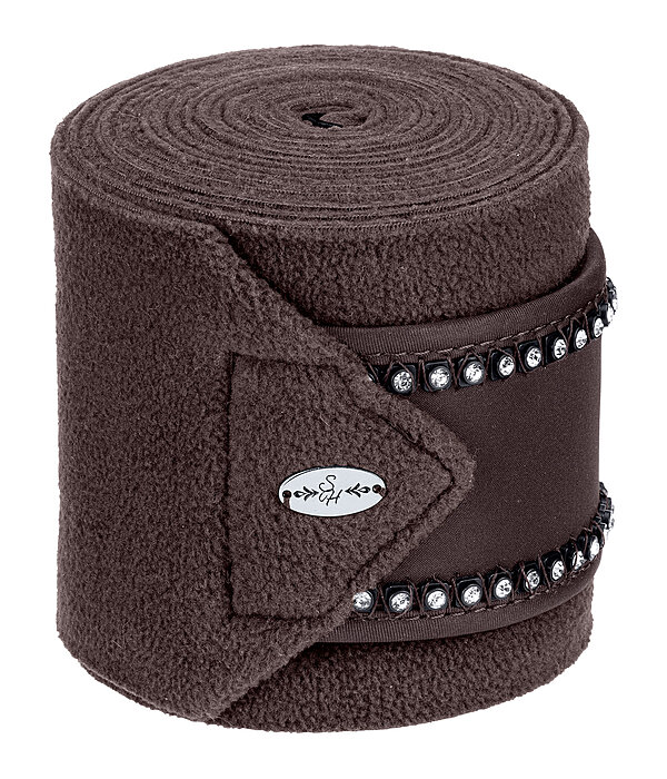 Bandes polaires  Brilliant