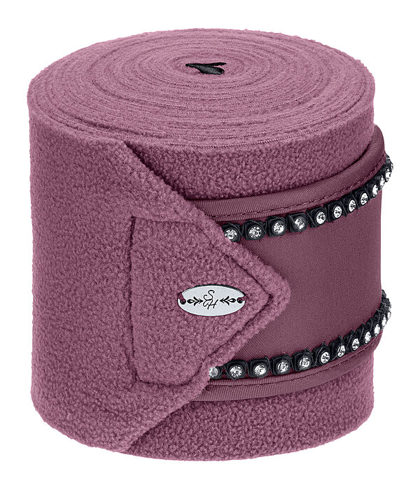 Bandes polaires  Brilliant