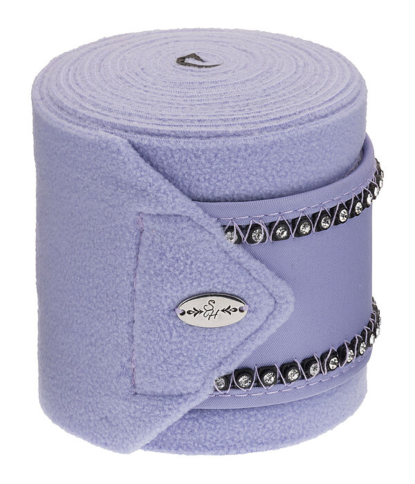 Bandes polaires  Brilliant