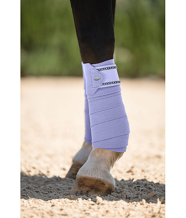 Bandes polaires  Brilliant