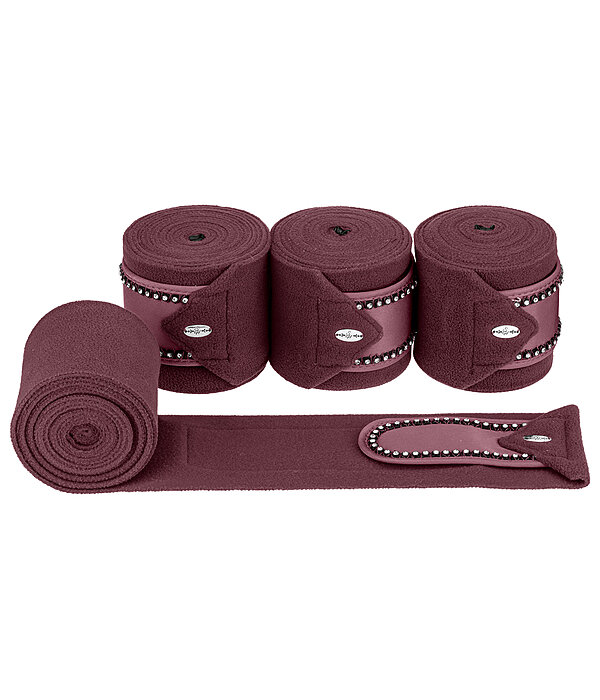 Bandes polaires  Brilliant