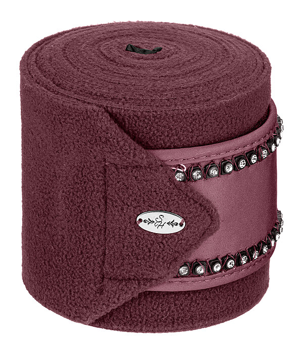 Bandes polaires  Brilliant