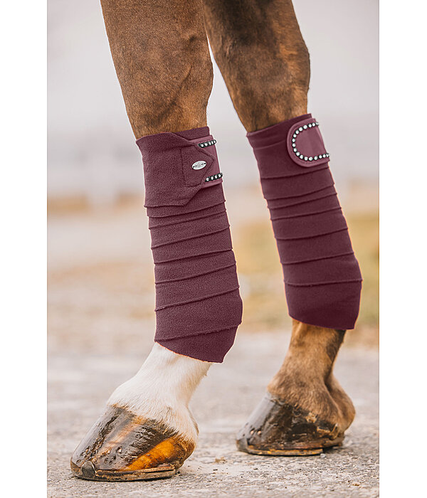 Bandes polaires  Brilliant