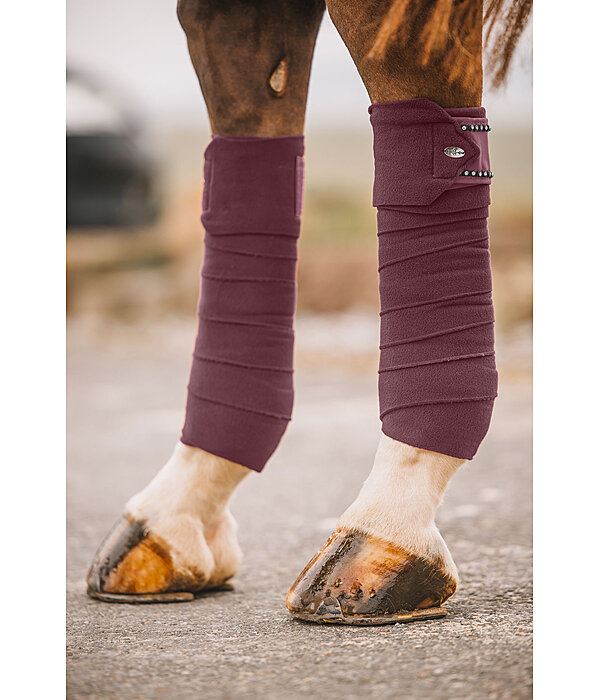 Bandes polaires  Brilliant