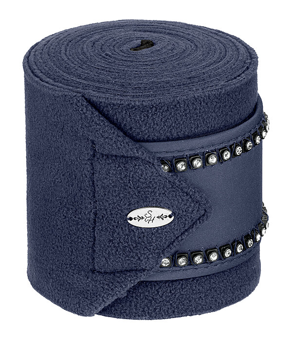 Bandes polaires  Brilliant