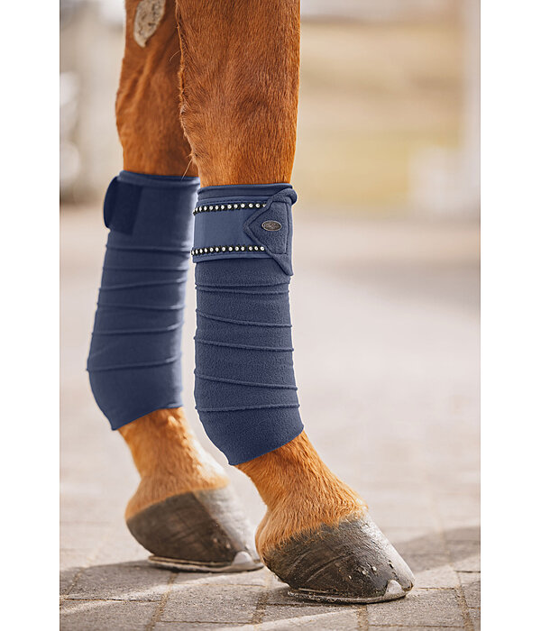 Bandes polaires  Brilliant