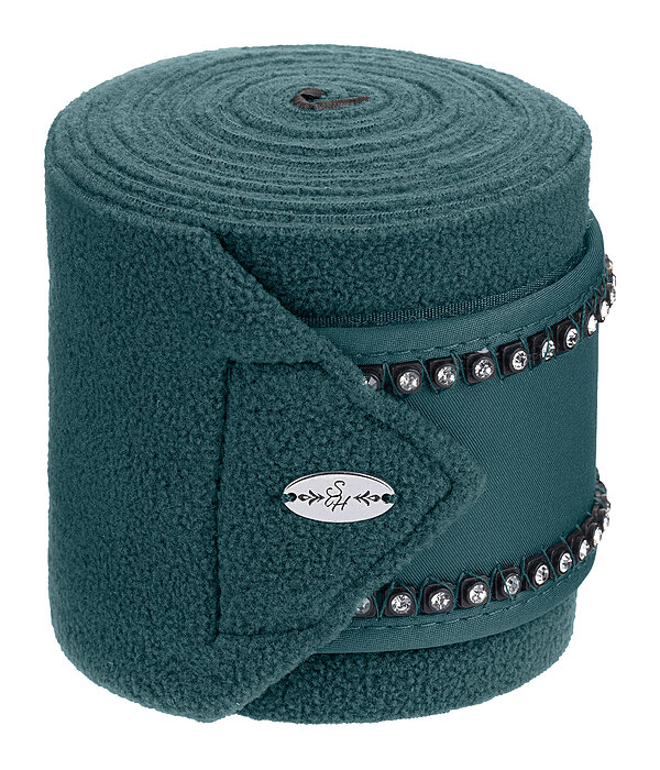 Bandes polaires  Brilliant