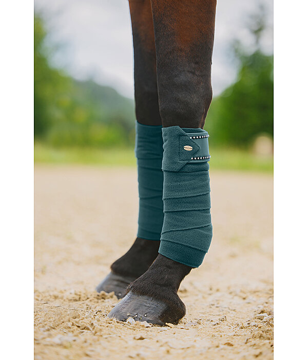 Bandes polaires  Brilliant