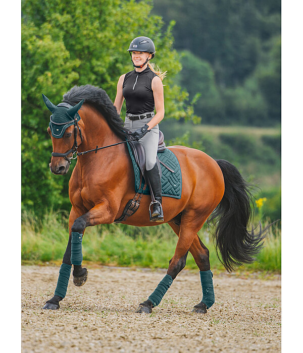 Bandes polaires  Brilliant