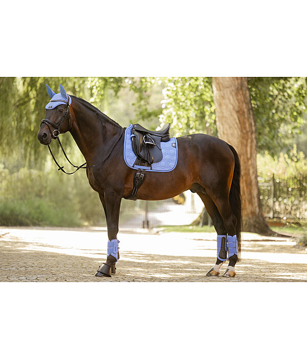 Gu�tres techniques  Mesh-Technology (ant�rieurs)