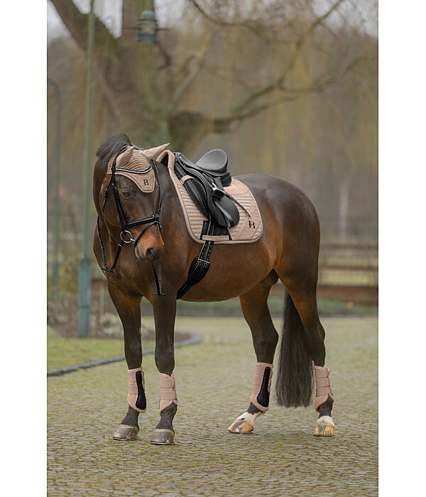 Gu�tres  Teddy, ant�rieurs