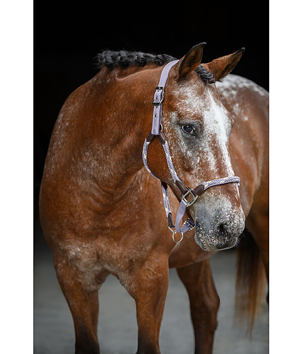 Licol anatomique  Sophistication