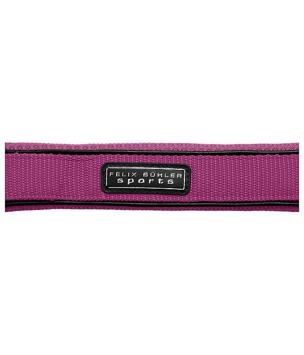 Licol  Mesh-Technology