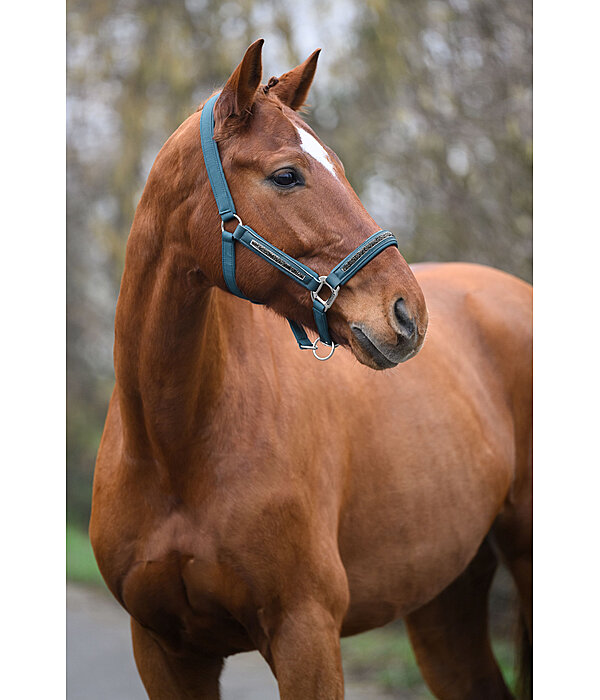 Licol  Glitter Stone