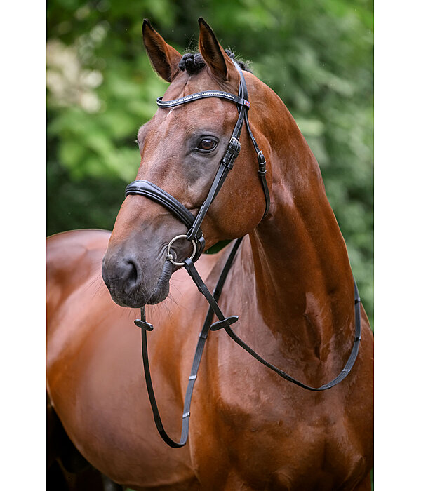 Bridon avec noseband et boucle amovibles  Mirissa