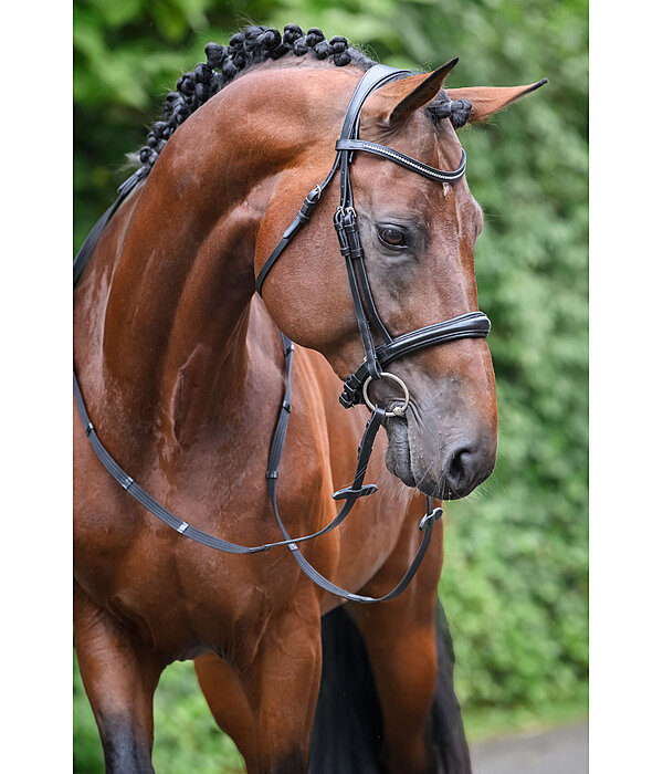 Bridon avec noseband et boucle amovibles  Mirissa