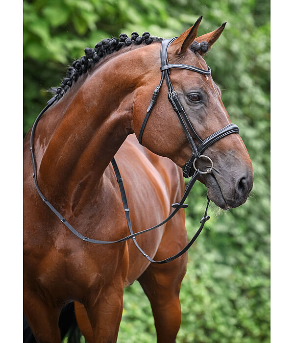 Bridon avec noseband et boucle amovibles  Mirissa