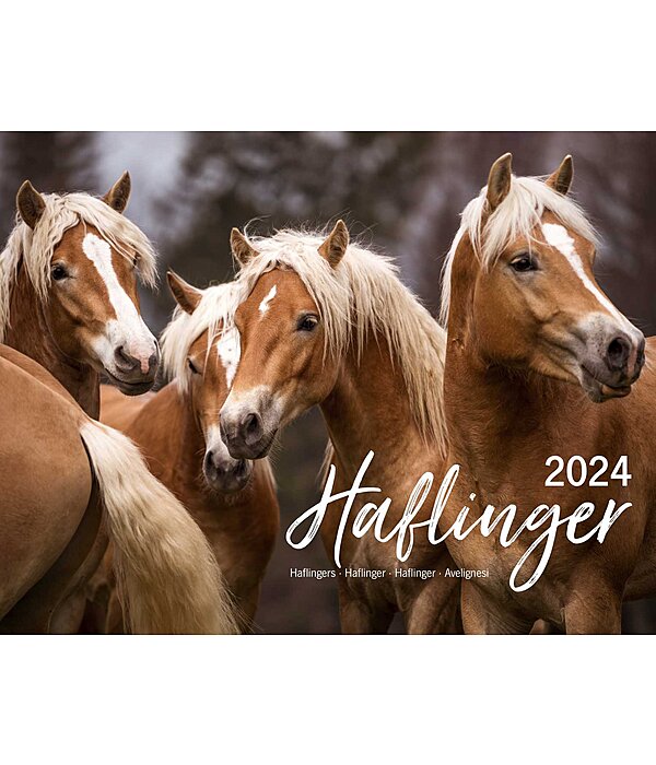 Calendrier Haflinger 2025