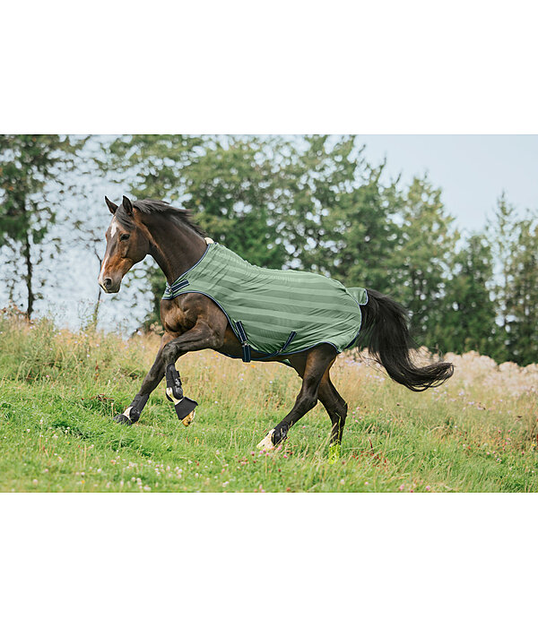 Couverture de marcheur anti-mouches  Economy Light