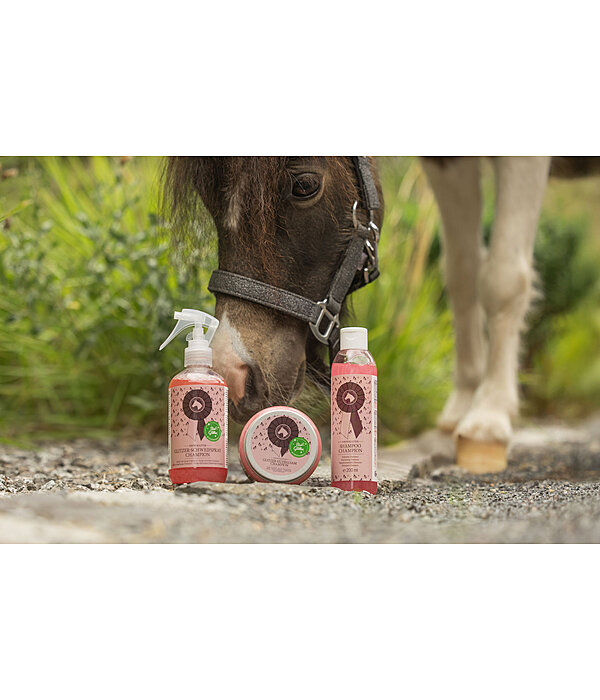 Spray � crins paillet�  Champion