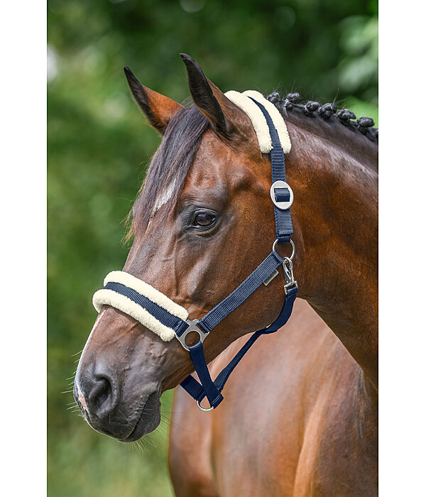 Licol en polaire Teddy  prix cass III