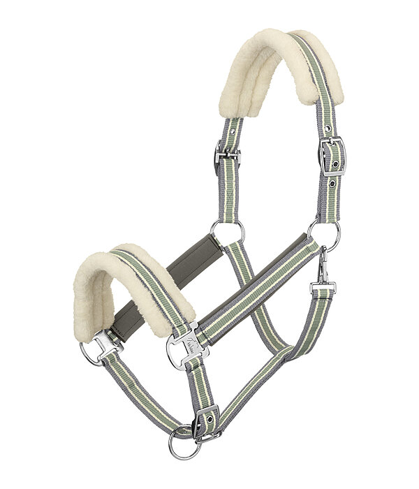 Licol en polaire Teddy  Essential II