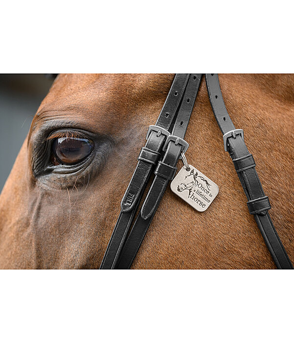 Pendentif  Once in a lifetime horse