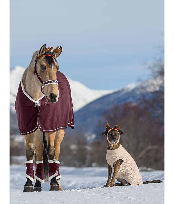 Calendrier de l'Avent pour chevaux