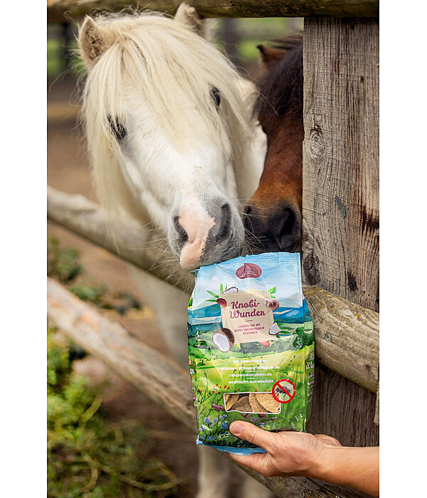 Assortiment de friandises  Bienfaits de l'ail